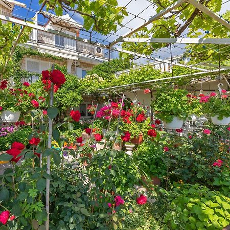 Apartmani Galic 2 Mlini Dış mekan fotoğraf