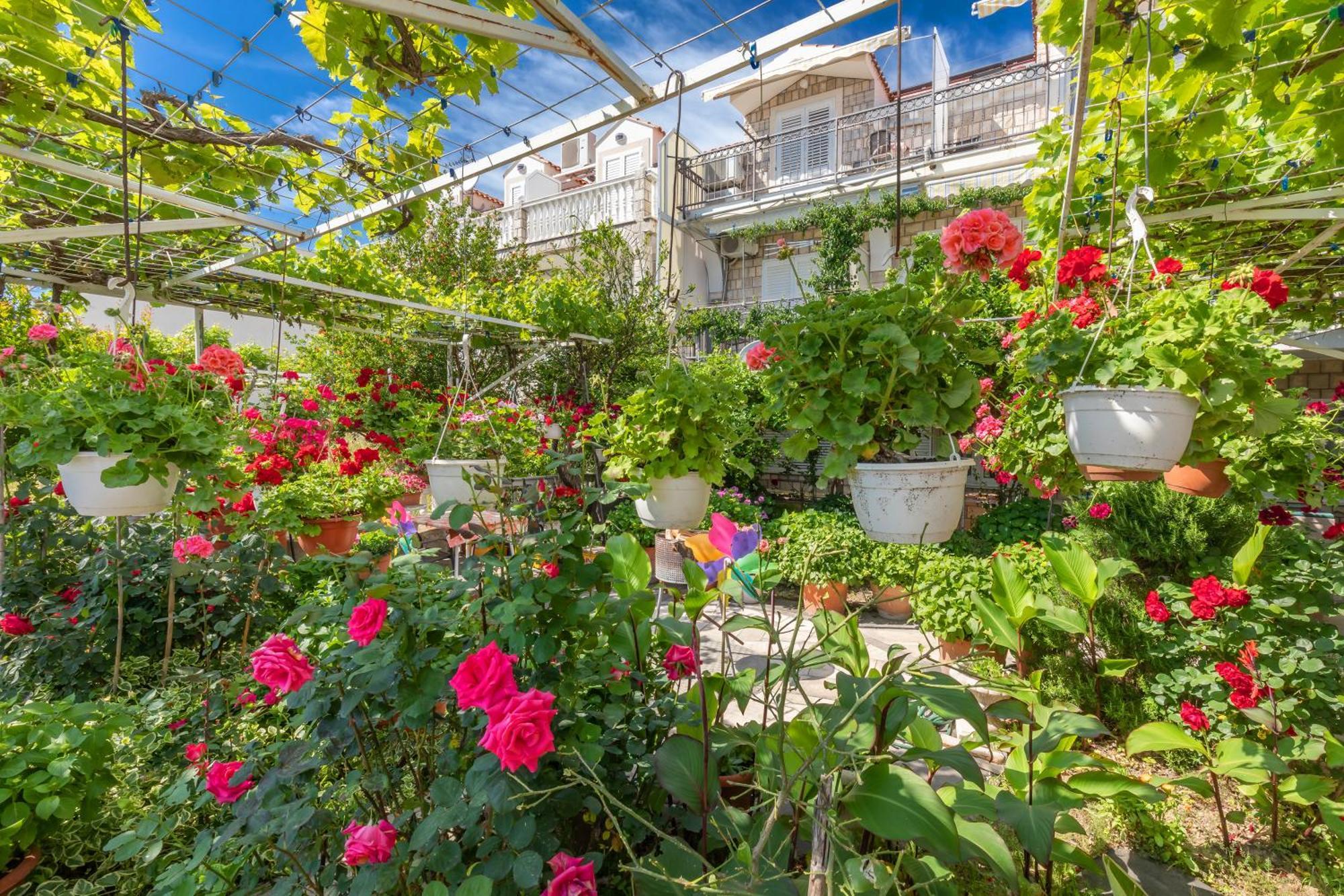 Apartmani Galic 2 Mlini Dış mekan fotoğraf