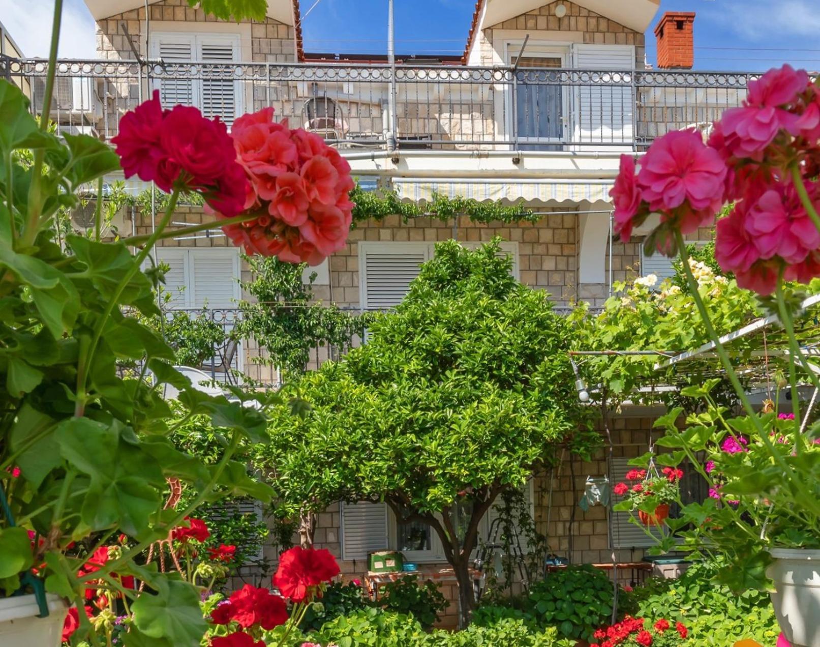 Apartmani Galic 2 Mlini Dış mekan fotoğraf